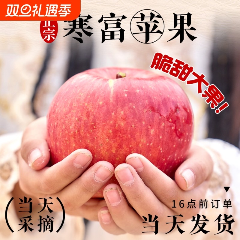 正宗寒富苹果红富士现摘冰糖心新鲜水果应当季10斤脆甜丑萍果整箱