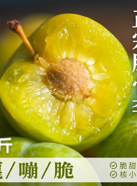 四川脱骨李子5斤新鲜水果当季