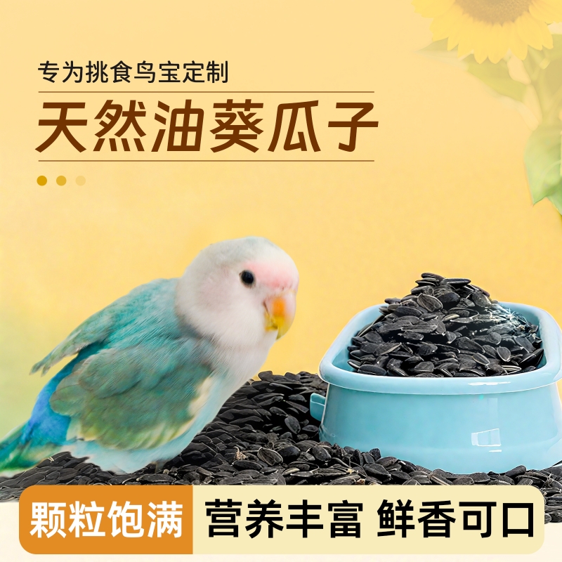 鹦鹉小瓜子零食天然油葵黑瓜子鸟粮饲料玄凤牡丹虎皮专用训练奖励