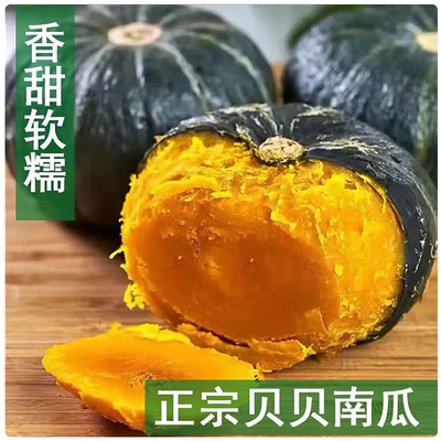 山东贝贝南瓜老南瓜产地直发包邮