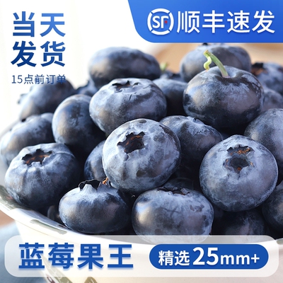 【当天发货】蓝梅果王|顺丰包邮