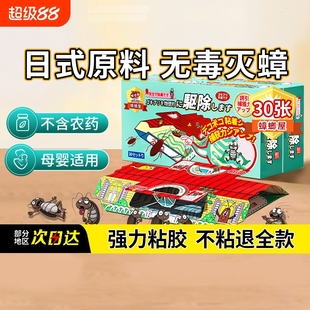 蟑螂屋捕捉贴强力粘小强屋蟑螂药一窝端扫尽厨房家用非无毒全窝端