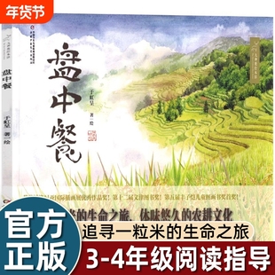 于虹呈盘中餐绘本6到8岁以上小学一二三四年级必看图画书非注音版中小学阅读中国少年儿童出版社追寻米的生命之旅体味农耕文化正版