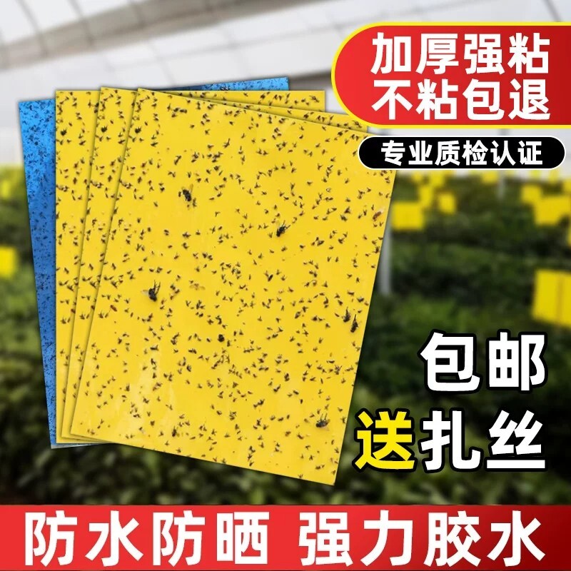 强力粘虫板黄板双面大棚蔬菜茶园诱虫柑橘针蜂家用室内飞虫强效