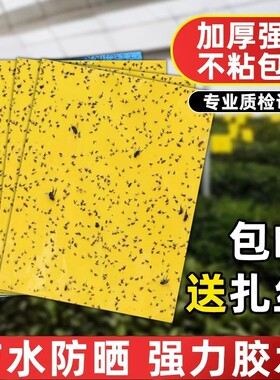 【狂销千万张】双面粘虫黄板诱虫