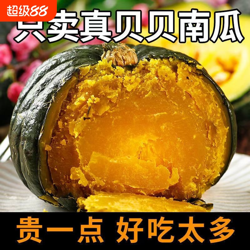 【头茬爆粉】正宗真贝贝小南瓜板栗味粉糯老南瓜批发孕妇宝宝辅食