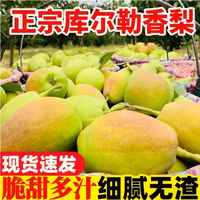 新疆库尔勒香梨脆甜多汁无渣正宗