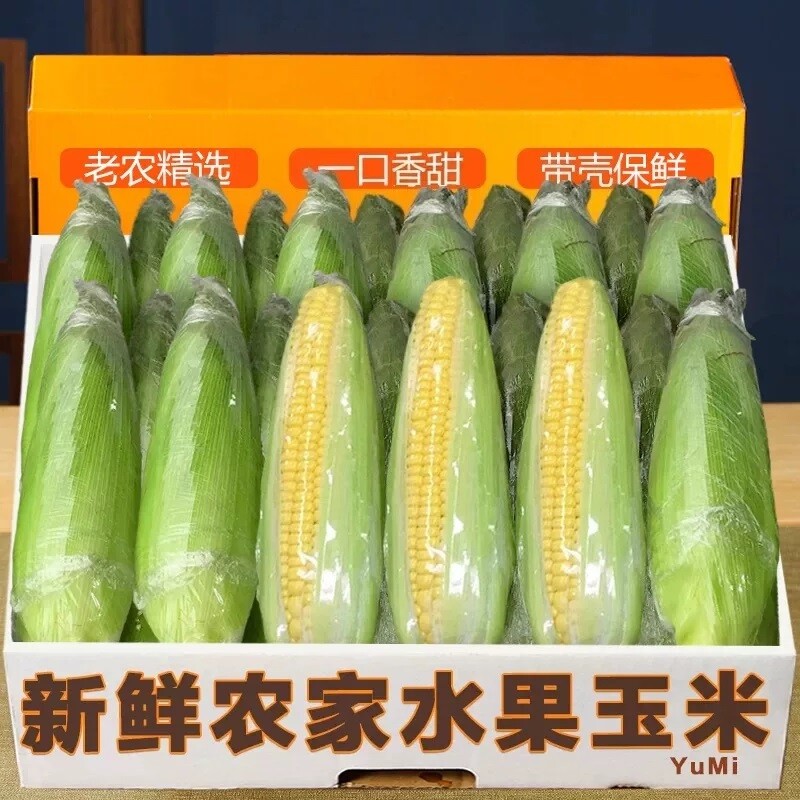 云南香甜水果玉米|超1000次加购图片