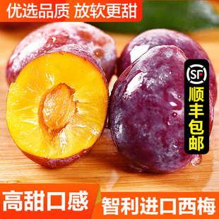 智利进口西梅5斤水果当季现摘新鲜大西梅脆甜李子鲜果顺丰包邮
