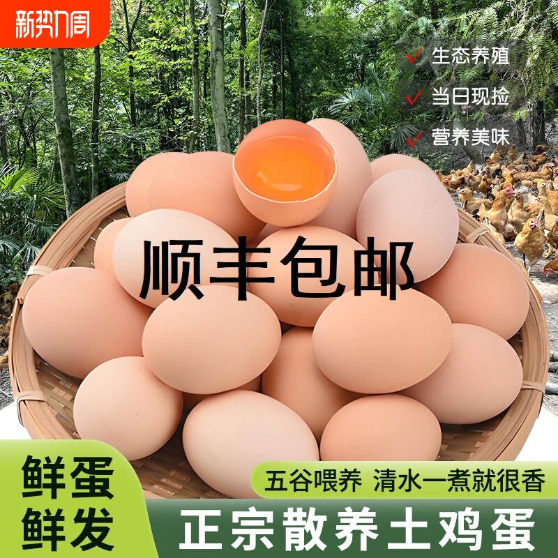 顺丰包邮正宗原生态农家土鸡蛋散养草鸡蛋笨鸡蛋柴鸡蛋约40-50g