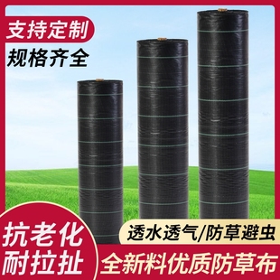 防草布农用加厚遮草布果园盖草布园艺地布厂家直销地钉地膜