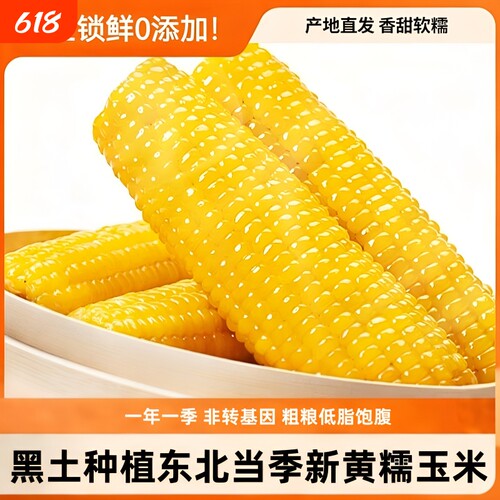 正宗东北新鲜黄糯玉米代早餐软糯拉丝独立真空装寒地黑土粘玉米棒