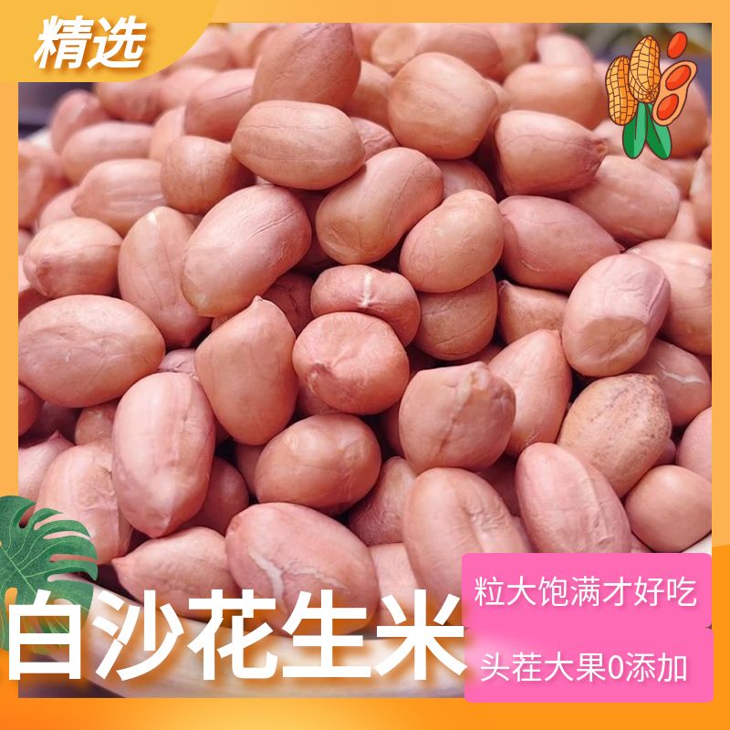 南阳白沙生花生仁花生米 优质大白沙无壳无硫晒干 批发价