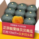 正宗山东寿光板栗味贝贝小南瓜板栗小南瓜老南瓜新鲜蔬菜惠和