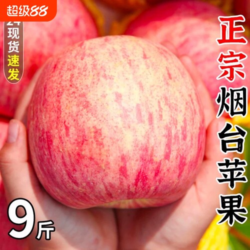 山东烟台红富士苹果9斤新鲜水果当季栖霞萍果整箱丑平果包邮脆甜