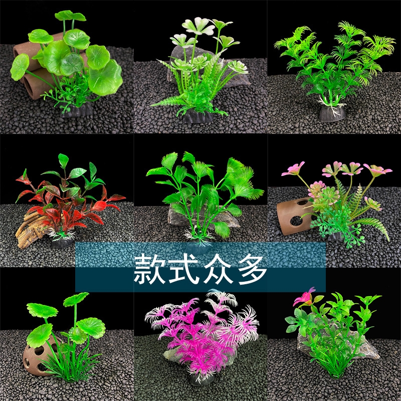 防真多肉微景观小水草摆件假花