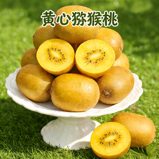 猕猴桃黄心礼盒特大果黄金奇异果金果弥猴桃孕妇新鲜水果产地直发