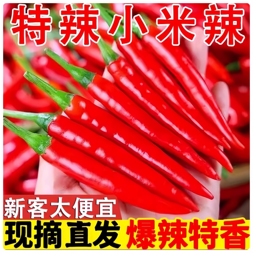 新鲜小米椒云南小米辣鲜椒朝天椒新鲜小米辣椒指天椒红辣椒鲜椒