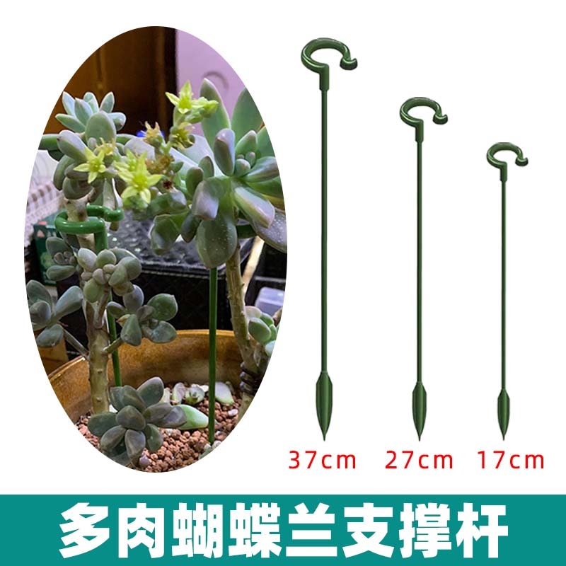 多肉支撑架吊兰支撑杆固定蝴蝶兰花架盆栽防倒伏造型铁艺