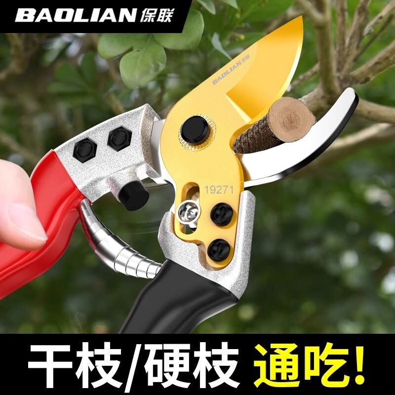 剪枝剪刀园林花艺专用修枝剪果树粗大花剪园艺树枝剪子工具图片