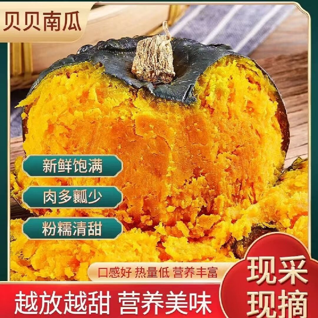 正宗沙地贝贝南瓜农家板栗南瓜粉面新鲜板栗味孕妇儿童低脂辅食