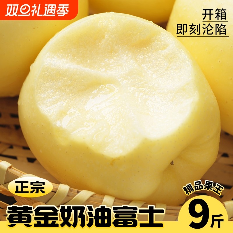 山东烟台黄金奶油富士苹果当季正宗奶油苹果9整箱包邮时令斤鲜果