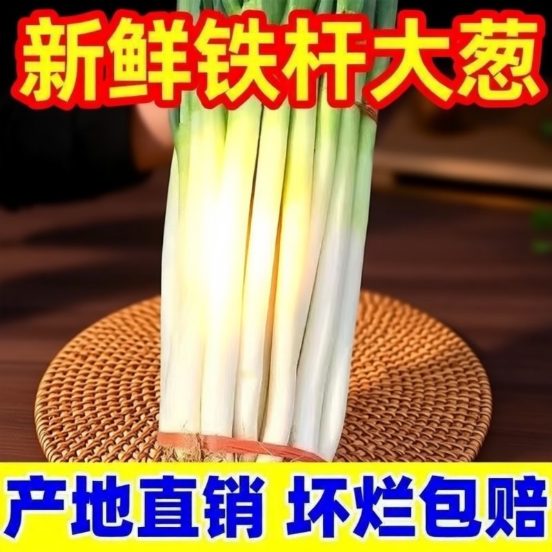 大葱章丘大葱新鲜铁杆长葱山东脆甜香葱头当季蔬菜湿蒜带皮带叶,水产肉类/新鲜蔬果/熟食,葱类,淘宝优惠券,粉丝福利购,淘宝优惠卷
