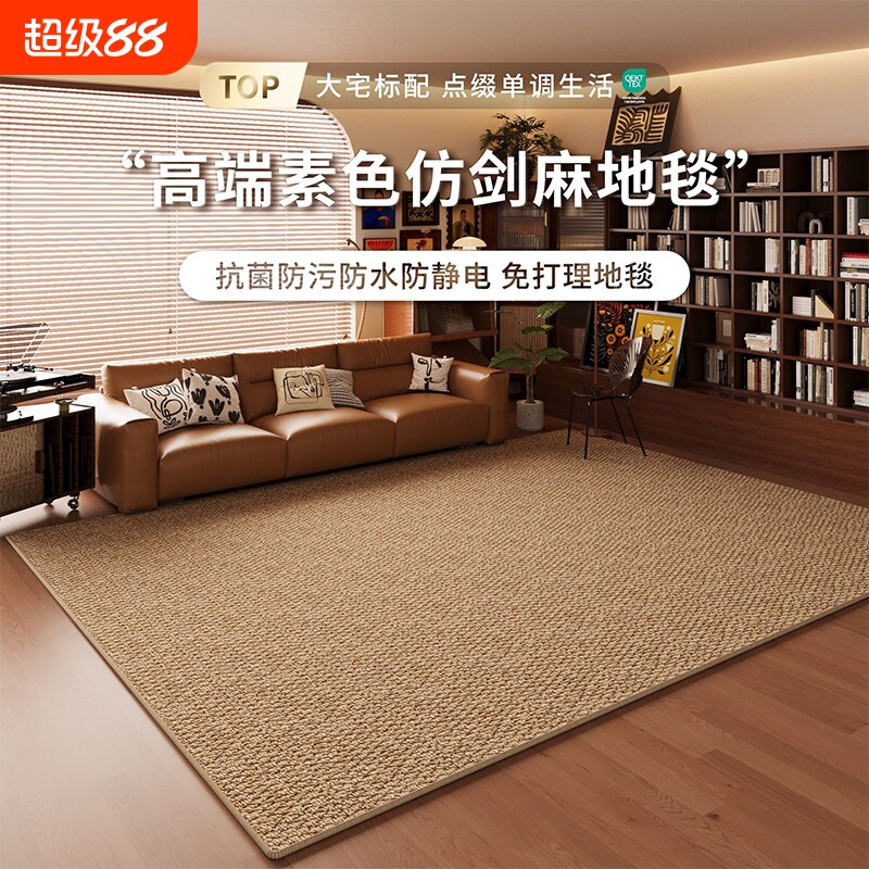 仿剑麻地毯客厅耐磨仿猫爪免洗侘寂中古风地垫奶油高级卧室床边毯图片