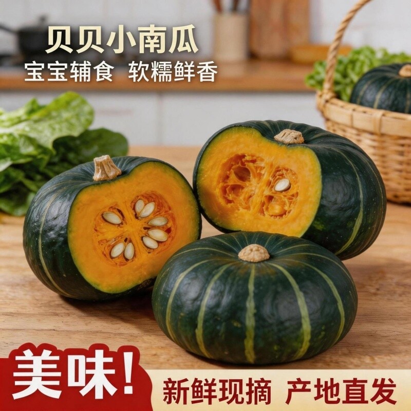 新鲜现挖美味贝贝南瓜板栗味新鲜小南瓜粉糯宝宝辅食整箱软糯香甜