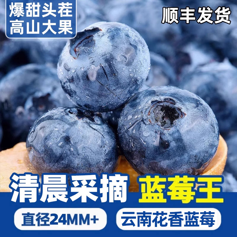 云南高山花香蓝莓头茬鲜果特大果怡佳颗沃应当季水果整箱顺丰