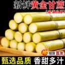 云南手剥黄金甘蔗新鲜当季 水果黄皮青皮黑皮甘蔗现砍脆甜多汁9斤