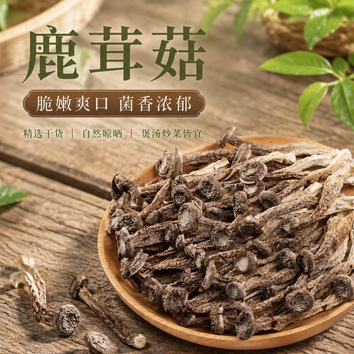 食用菌农家特产鹿茸菇干货