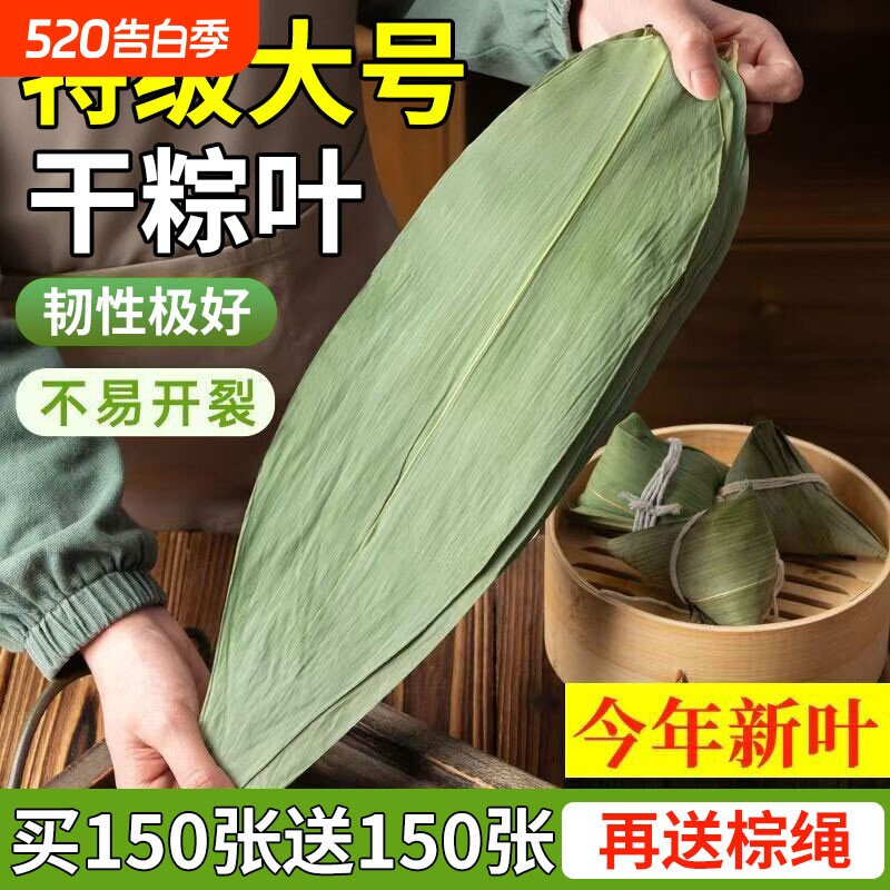 粽子叶棕叶新鲜大号包粽子专用的叶子商用批发干粽叶大野生鲜粽叶