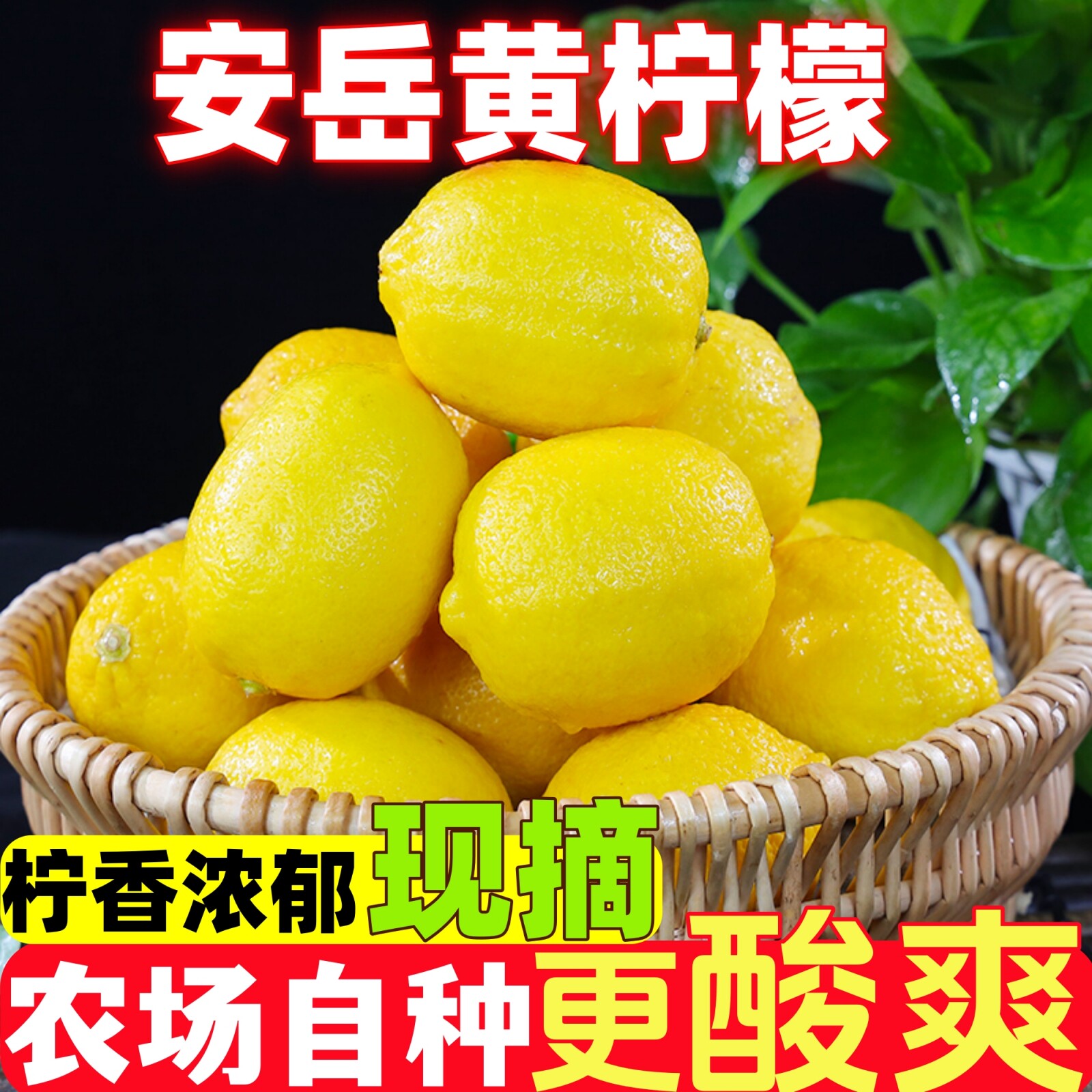 四川安岳黄柠檬新鲜水果皮薄多汁图片