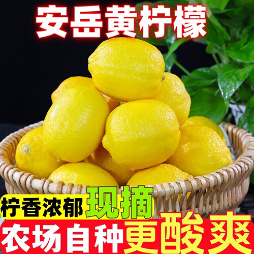 四川安岳黄柠檬新鲜水果皮薄多汁