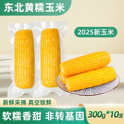 东北黄糯玉米新货鲜摘