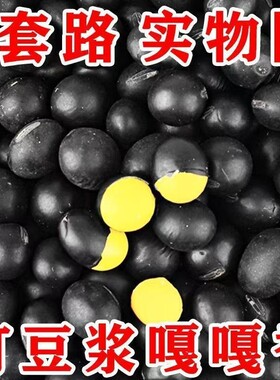 黄心黑豆非转基因肾形小黑豆农家自种黄芯豆浆醋泡药用黑小豆新货