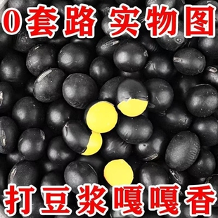 黄心黑豆非转基因肾形小黑豆农家自种黄芯豆浆醋泡药用黑小豆新货