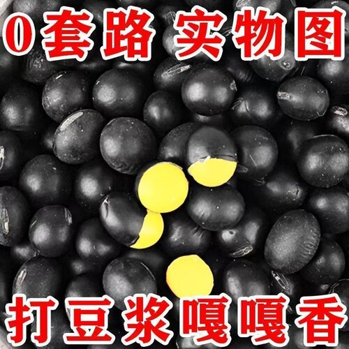新雄黄心黑豆非转基因肾形小黑豆农家自种黄芯豆浆醋泡药用黑小豆