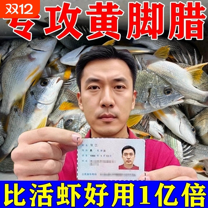 黄脚腊饵料黄鳍鲷海钓爆护神器饵