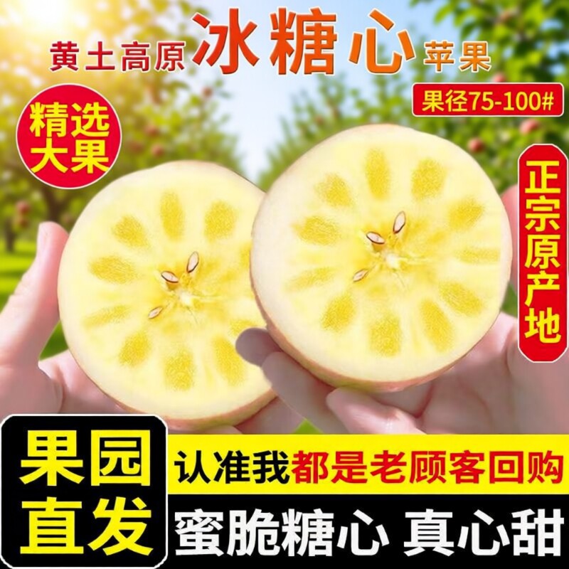 山西运城万荣红富士大果新鲜脆甜正宗冰糖心丑苹果10斤水果农自种