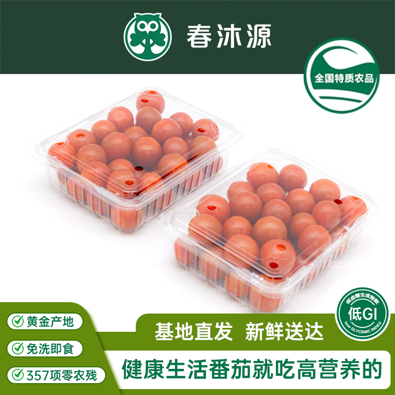 新鲜小番茄春沐源新鲜现摘零农残