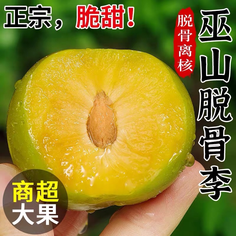 脆甜镇宁峰糖李礼盒|千人加购
