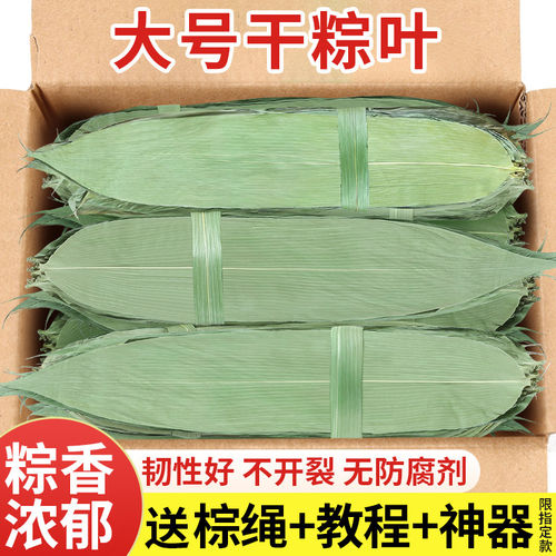粽子叶粽叶干大号棕叶新鲜包粽子的竹叶子干粽叶商用箬叶批发材料
