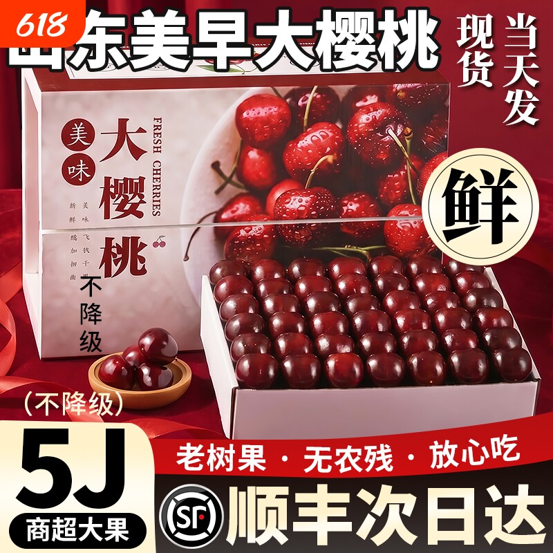 山东美早大樱桃现摘特大国国产车厘子5斤装礼盒当季顺丰鲜运包邮