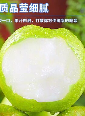 梨子新鲜水果砀山青梨皇冠梨