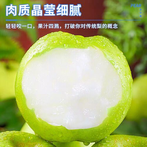 梨子新鲜水果砀山青梨皇冠梨