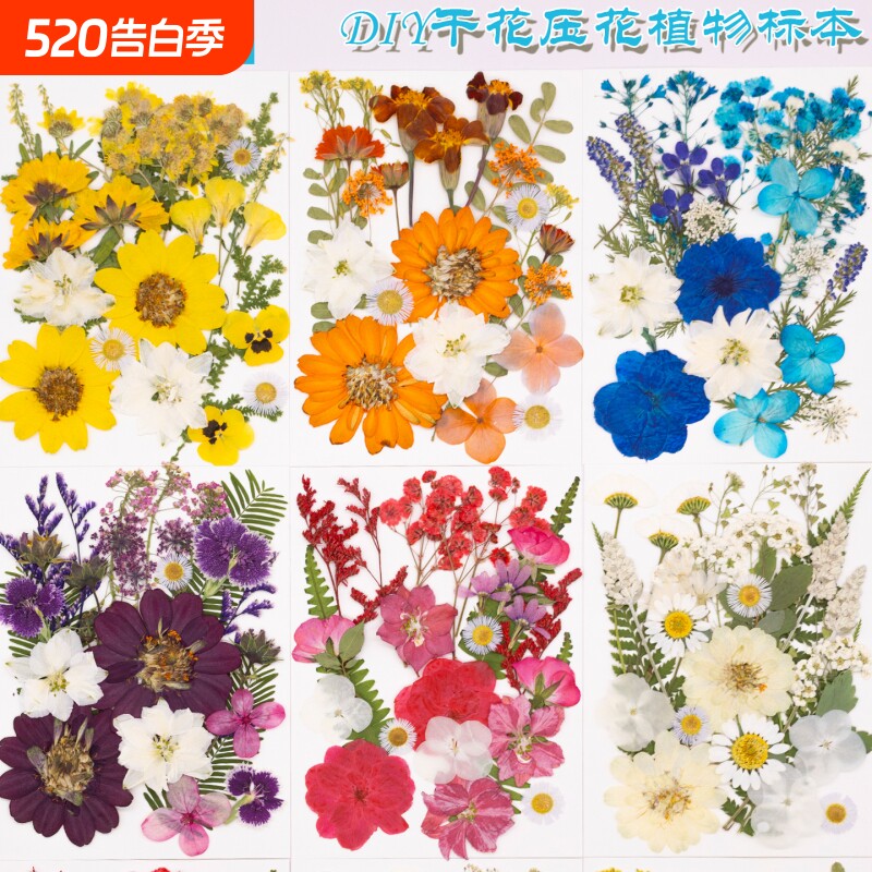 干花压花diy材料包押花真花压花真树叶标本画植物标本押花装饰