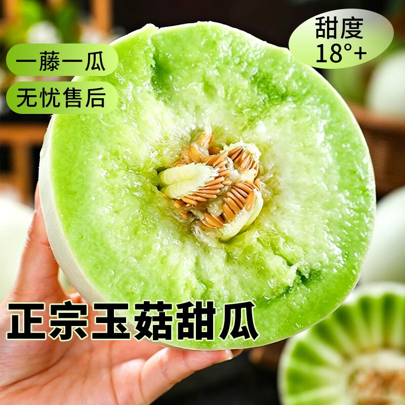 正宗山东玉菇甜瓜冰淇淋蜜瓜新鲜水果羊角密现摘现发瓜季节香甜