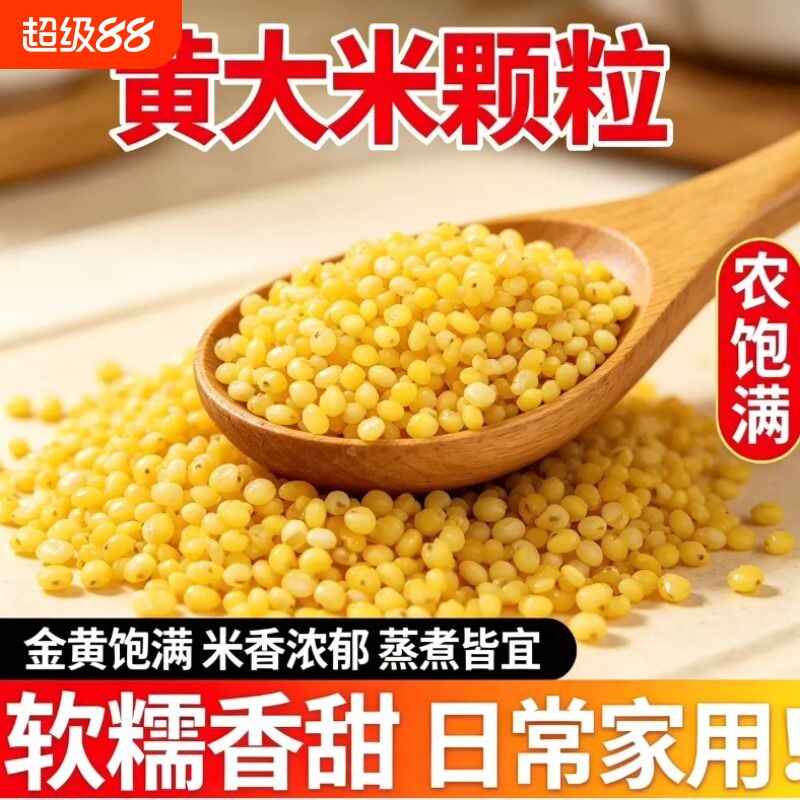 黄小米大黄米无中间商煮粥营养五谷杂粮饭主食农家自产当季粗粮图片